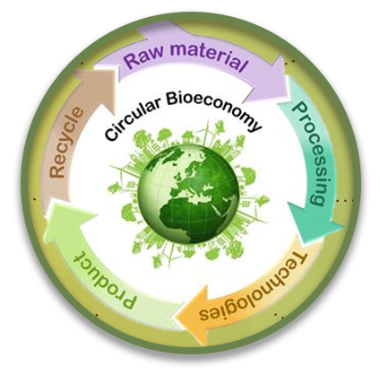 Circular bioeconomy: raw material, processing, products, recycle