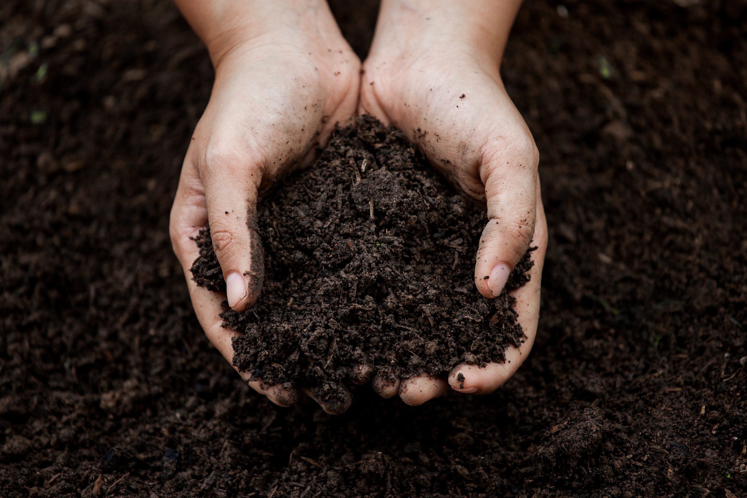 Rich soil