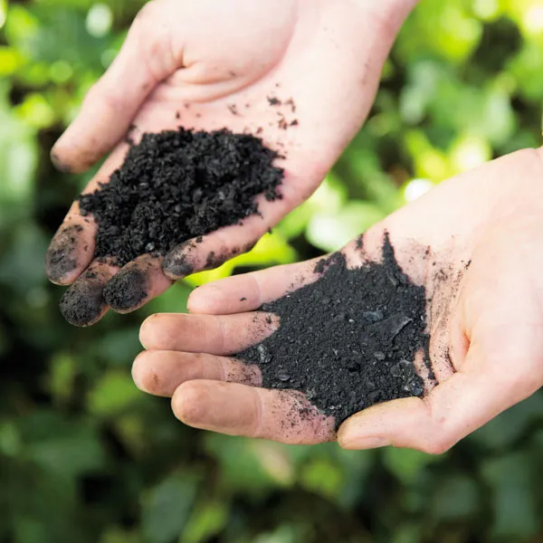 Premium biochar